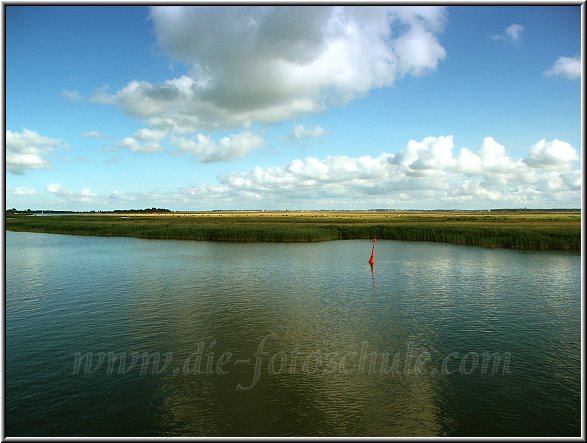 Boddenlandschaft bei Zingst