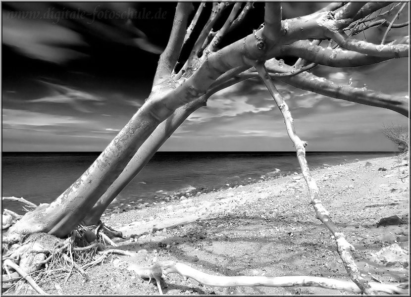 Ahrenshoop_003_sw