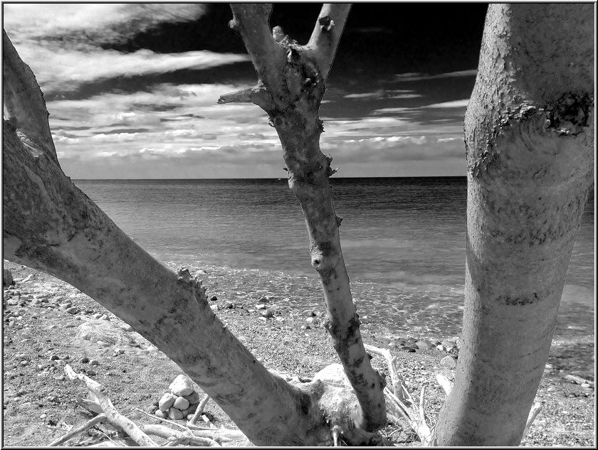 Ahrenshoop_004_sw