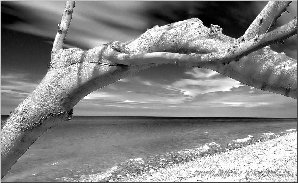 Ahrenshoop_005_sw