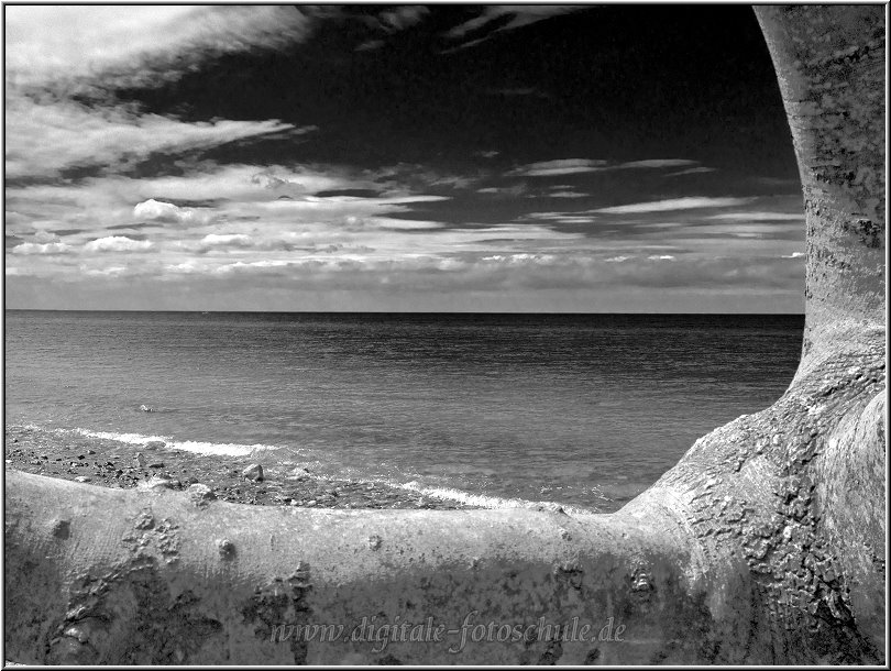 Ahrenshoop_006_sw