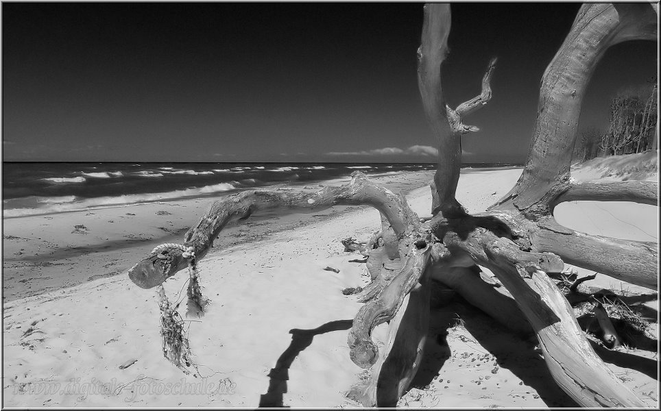 Weststrand_2012_014_sw