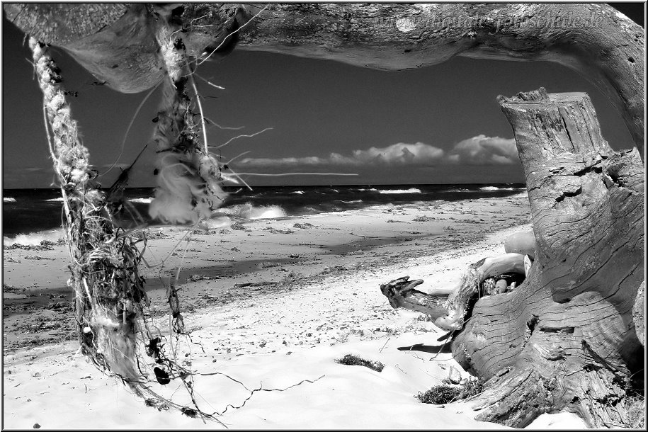 Weststrand_2012_016_sw