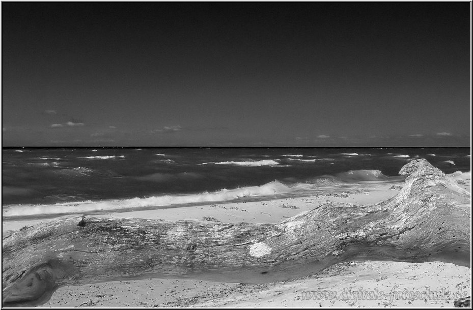 Weststrand_2012_017_sw