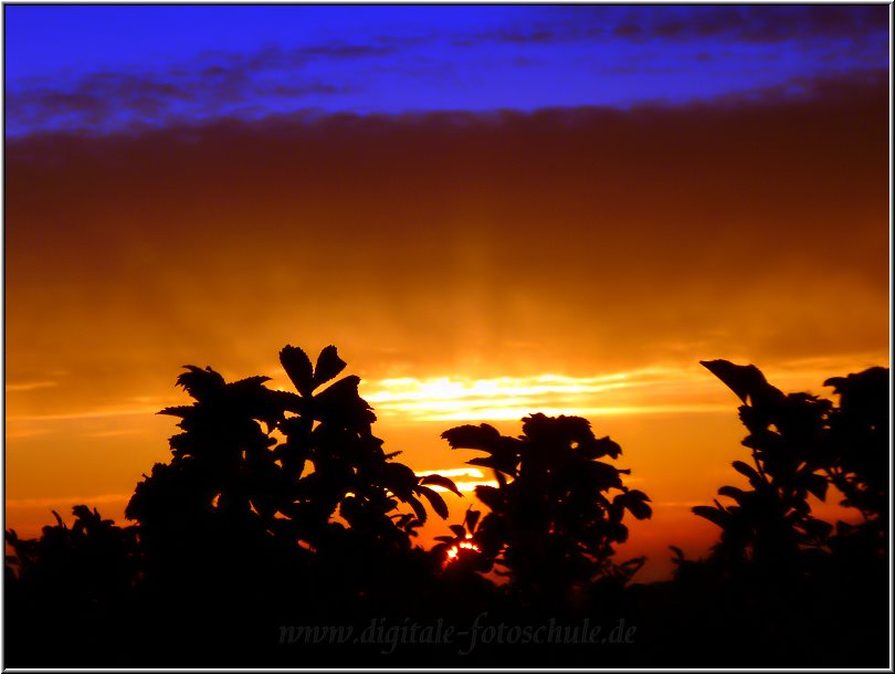 zingst_sonnenuntergang_003