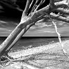 Ahrenshoop_003_sw