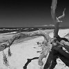 Weststrand_2012_014_sw