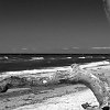 Weststrand_2012_015_sw