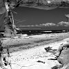 Weststrand_2012_016_sw