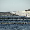 zingst_strand_011