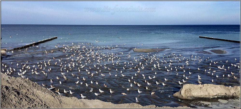 Moewen_Zingst2014_001.jpg - So viele Möwen auf einem Haufen habe ich noch nie gesehen. Die inoffizielle Möwen-Demo entdeckte ich am Strand bei Prerow am Darß zwischen Prerow und Zingst an der Ostsee. Die Kameratechnik war wenig spektakulär, das Foto entstand mit einem iPhone 6.